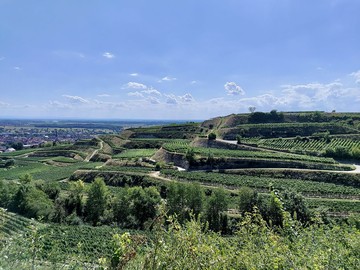 Aussicht Wiedehopfweg