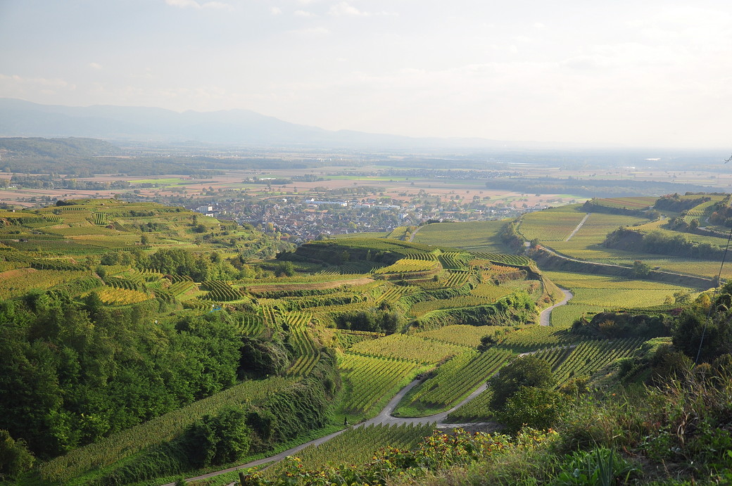 Fernsicht vom Kaiserstuhl