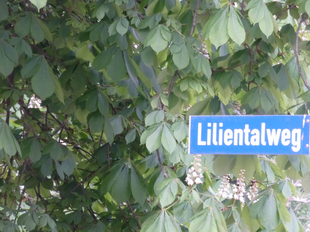 Forstliches Arboretum Liliental