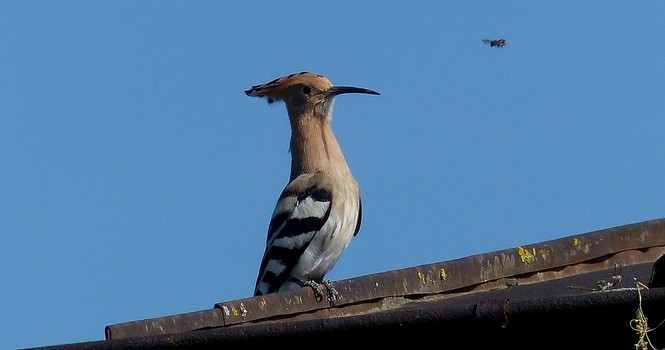 Naturbesonderheiten