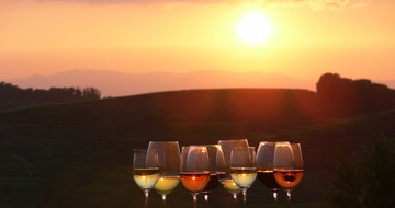 Weinprobe im Sonnenuntergang